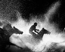 Zdjęcia Wiktora Rzeżuchowskiego, fotografa i  instruktora jazdy konnej