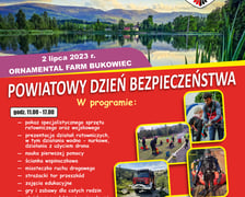 Terminarz pikników i zabaw plenerowych