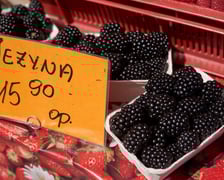 Ceny warzyw i owoców w Hali Targowej i w warzywniakach w centrum Wrocławia