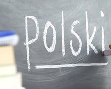 <h2>Korepetycje z języka polskiego Wrocław 2025. Jakie ceny?</h2>
<ul>
<li>u nauczyciela 80-200 zł</li>
<li>z dojazdem do ucznia 100-220 zł</li>
<li>online 60-150 zł</li>
</ul>