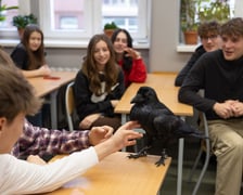 Uczniów IV LO odwiedza kruk - Ronin