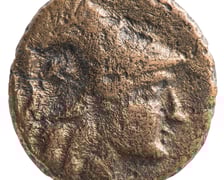 Wystawa Artificalia, naturalia, exotica w Muzeum Archeologicznym we Wrocławiu