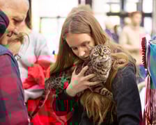 <p>Można było podziwiać m.in. koty bengalskie. Prezentacja kot&oacute;w rasowych w Magnolia Park - 24 marca</p>