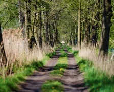 Ścieżka przyrodnicza Stawy Krośnickie