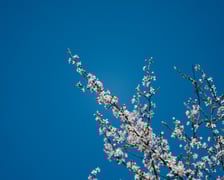 Ścieżka przyrodnicza Stawy Krośnickie