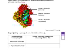 Arkusz CKE: Matura rozszerzona z biologii 2024 - zadania, 14 maja