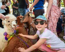 Dzień Otwarty MPK 2024 na zajezdni Gaj.