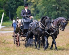 Suempol Ladies Day  na Partynicach. Wrocław, 09.06.2024