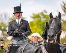 Suempol Ladies Day  na Partynicach. Wrocław, 09.06.2024