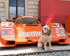 Luftgekühlt - zlot kultowych modeli porsche