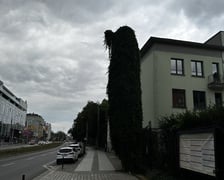 Upiorna latarnia we Wrocławiu - zdjęcia za dnia