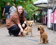 Park Śniadaniowy w parku Andresa