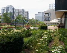 <p>Bulwar na Kępie Mieszczańskiej&nbsp;</p>