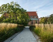 <p>Budynek Muzeum Architektury widziany od strony Skweru Wrocławianek</p>