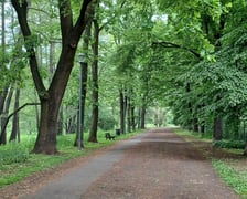 <p>Nowe lampy w Parku Szczytnickim</p>