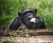 <p>Kizi na urodzinach Kasi</p>