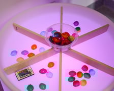 <p>Sala integracji sensorycznej w przedszkolu integracyjnym nr 35 &bdquo;Tęczowy Domek&rdquo; przy ul. gen. K. Pułaskiego prezentowana podczas konferencji zorganizowanej 23 sierpnia z okazji uruchomienia we Wrocławiu 35 nowych sal</p>