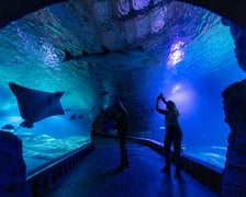 Nocowanie w Afrykarium