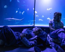 Nocowanie w Afrykarium