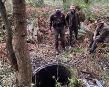 Akcja uwalniania dzika w Nadleśnictwie Żmigród