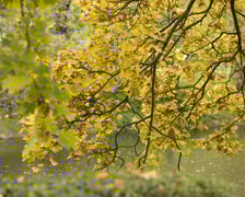 Jesień we Wrocławiu