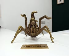 Krasnal Arachnoskrzat  w sklepie Arachnohobbia  ul. Słowiańska 25a