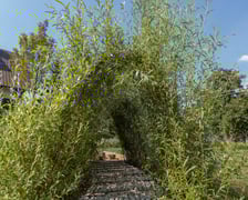 <p>Skwer przy ul. Kosmicznej</p>