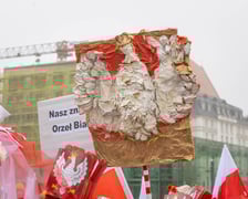 Radosna Parada Niepodległości. Wrocław, 11.11.2024