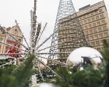 Montaż nowej choinki w Rynku we Wrocławiu - zdjęcia z 19.11.2024