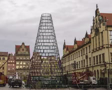 Montaż nowej choinki w Rynku we Wrocławiu - zdjęcia z 19.11.2024