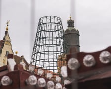Montaż nowej choinki w Rynku we Wrocławiu - zdjęcia z 19.11.2024