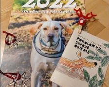 Kalendarz z osiedla Psie Pole-Zawidawie