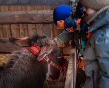 Żywa szopka przy kościele NMP Matki Pocieszenia przy ulicy Wittiga