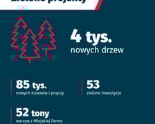 <p>Zielone projekty,, inwestycje i wydatki</p>