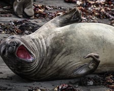 <p>Wok&oacute;ł Stacji nie brakuje zwierząt</p>