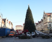 Coraz mniej choinki na Rynku. Trwa jej rozbieranie