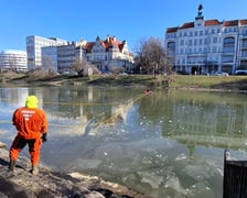 Ćwiczenia strażaków na fosie we Wrocławiu