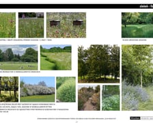 <p>Wizualizacje&nbsp;z koncepcji Zielonego Klina Południa Wrocławia</p>