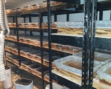 Likwidacja gigantycznej fabryki narkotyków