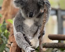 <p>Jedno ze zdjęć, kt&oacute;re zobaczymy podczas festiwalu podr&oacute;żniczego R&oacute;wnoleżnik Zero</p>