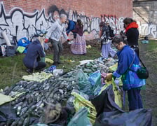 <p>Posprzątali Odrę, teraz powstaną z tego dzieła sztuki. Ziściła się wrocłąwska część projektu SEKTOR 333</p>