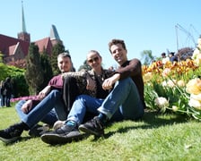 Festiwal tulipanów w Ogrodzie Botanicznym - 26.04.2025