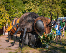 Piknik w parku Pawłowickim w niedzielę 22 czerwca 2025