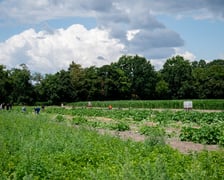 Spotkanie na Farmie Miejskiej, 18 lipca 2025