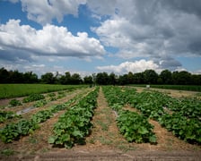 Spotkanie na Farmie Miejskiej, 18 lipca 2025