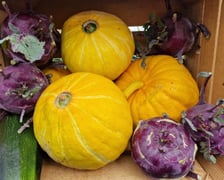 Spotkanie na Farmie Miejskiej 18 lipca 2025