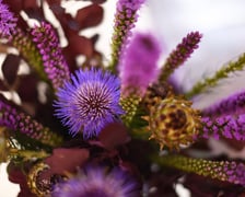 <p>Takie kompozycje obejrzymy do 20 lipca na wystawie w Muzeum Architektury</p>