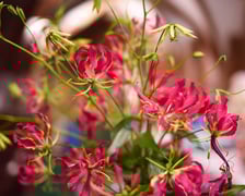 <p>Takie kompozycje obejrzymy do 20 lipca na wystawie w Muzeum Architektury</p>