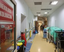 <p>"Zadyma", czyli remont w czynie społecznym na oddziale ginekologii onkologicznej.</p>