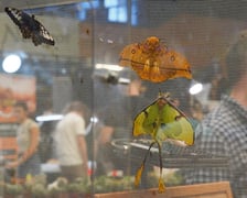 <p>Targi ZooEgzotyka w Hali Orbita w niedzielę 21 września 2025</p>